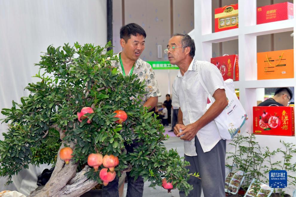 波克城市棋牌